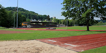 Sportplatz mit großer Rasenfläche und Baum, mit Weitsprunganlage im Vordergrund