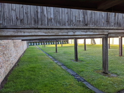 Altstädtische Schützengilde Brandenburg/Havel (3)