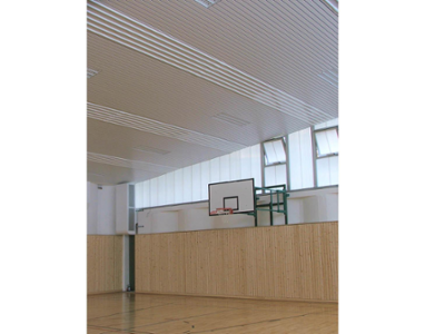 Große Schulsporthalle Brück Prellwand