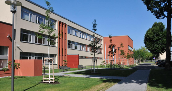 Unscharf dargestelltes Bild zur Hintergrundgestaltung