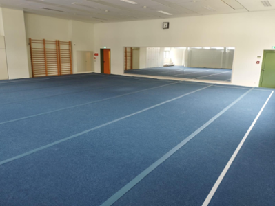 Sporthalle1