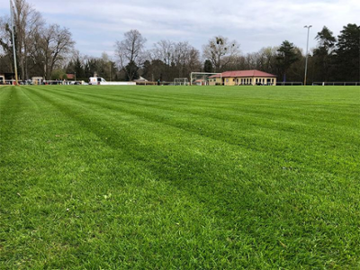 Friedrich-Friesen-Sportplatz