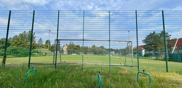 Naturrasenplatz (Käfig) am LSH