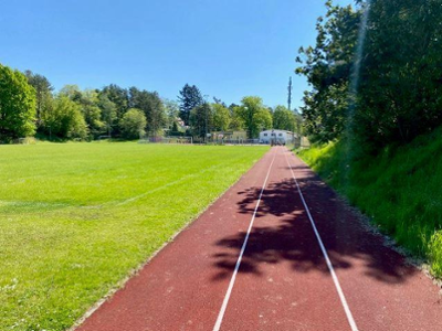 Laufbahn 