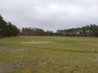 Sportplatz Rückersdorf
