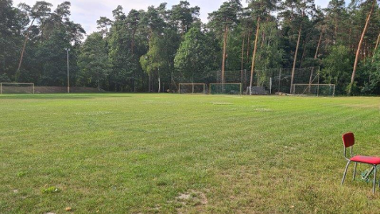 2. Rasenfläche