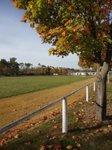 Sportplatz Wahrenbrück