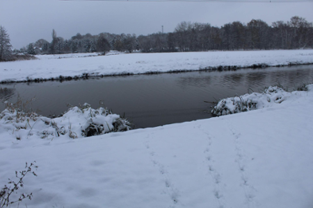 Bootsanleger Maasdorf